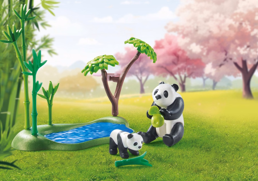 Asian Garden with Panda